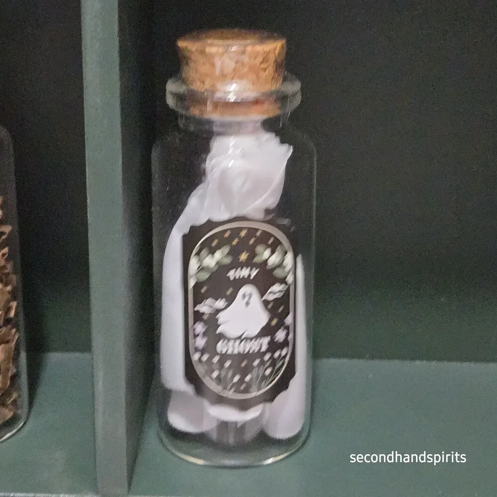 2025 Target Bullseye Halloween Spells Potions Book Storage Box & 7 Mini Potions
